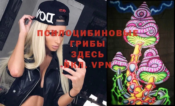 спиды Армянск