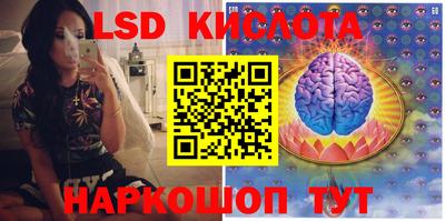 PSILOCYBIN Краснознаменск