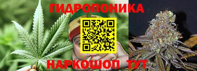 PSILOCYBIN Краснознаменск