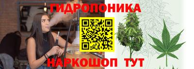 PSILOCYBIN Краснознаменск
